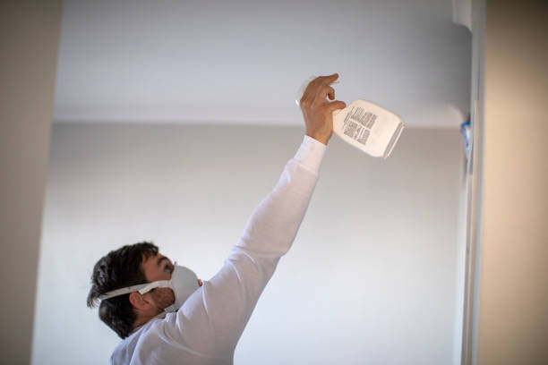 Best Residential Mold Remediation in Princevle, IL