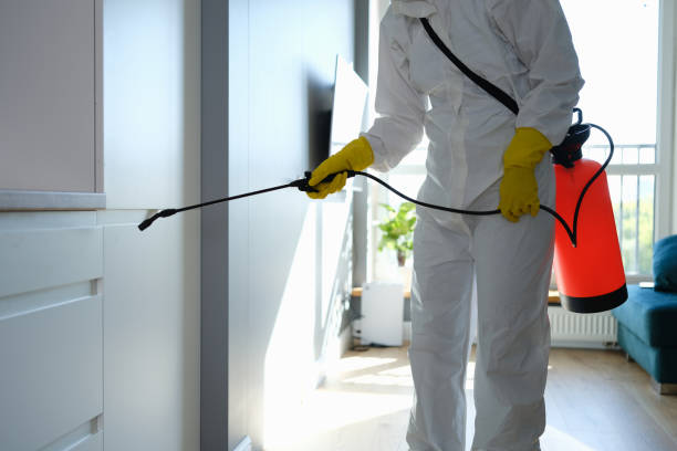 Best Crawl Space Mold Remediation in Princevle, IL